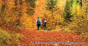 Let nature nurture you with these fall recreation activities