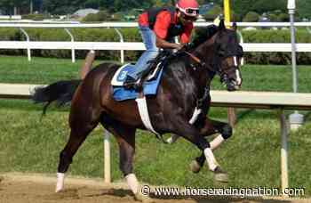 Weyburn's next start is likely to be in Pennsylvania Derby - Horse Racing Nation