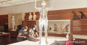 Pandemics Get Forgotten. But Not at This Museum.