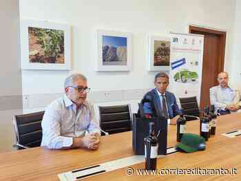 "Destinazione Primitivo - Porsche Only" a Manduria - Corriere di Taranto