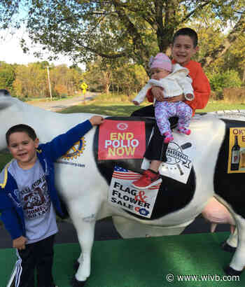 "Butterscotch" is missing: Genesee County authorities looking for decorative cow