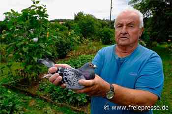 Bauland-Streit in Friesen: Pächter vorab nicht informiert - Freie Presse