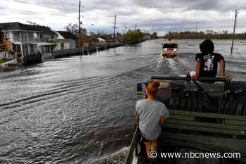 Man, 71, presumed dead after alligator attack in Louisiana floodwaters