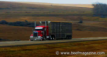 FMCSA extends livestock hours-of-service exemptions