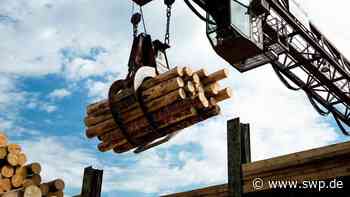 Wald rund um Ulm und Weißenhorn: Hier wächst das Holz für Baustellen, Möbel und Musikinstrumente - SWP