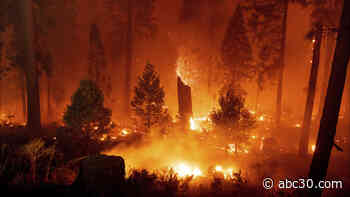 LIVE SOON: CAL FIRE update on Caldor Fire in Tahoe