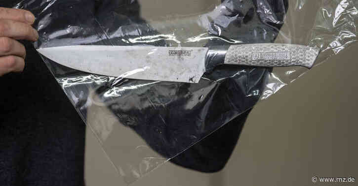 Mannheim:  Nach Messerangriff im Schlosspark - fünf Tatverdächtige in Haft (Update)