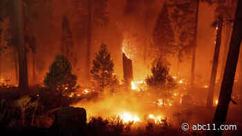 Strong winds push Caldor Fire closer to Lake Tahoe in California | LIVE UPDATE