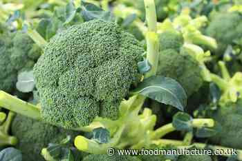 Broccoli and cauliflower wasted in droves in labour crisis