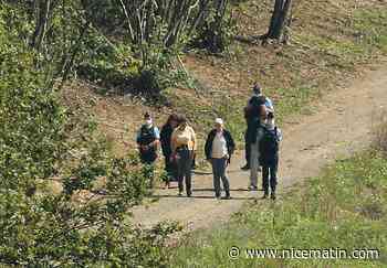 Recherche du corps d'Estelle Mouzin: Monique Olivier "ne veut pas tout dire", regrette l'avocat de la famille