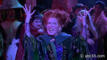 Freeform's 31 Nights of Halloween: See the full 2021 schedule of movies