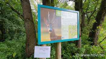 Bordjes die waarschuwen voor wolf in Reppel zijn nep - Het Belang van Limburg