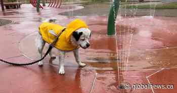 Your Saskatchewan photo of the day: September 2021