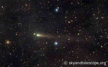 Making Time for Morning Comets