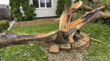 'Supercell' thunderstorm pummels parts of southern Sask., leaving a trail of damage