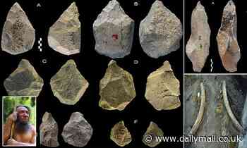 Unknown ancient humans made elephant bone tools to carve meat 400,000 years ago