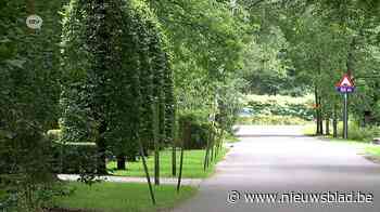 Agressieve pitbull valt meerdere bewoners aan in Kapellen