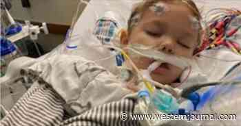 After Severe Allergic Reaction Lands Toddler in the Hospital, Community Pulls Together to Donate $35K