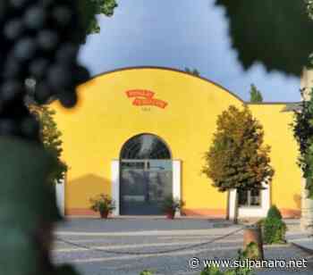 Cibus, Monari Federzoni firma una nuova visione dell'aceto balsamico di Modena Igp - SulPanaro