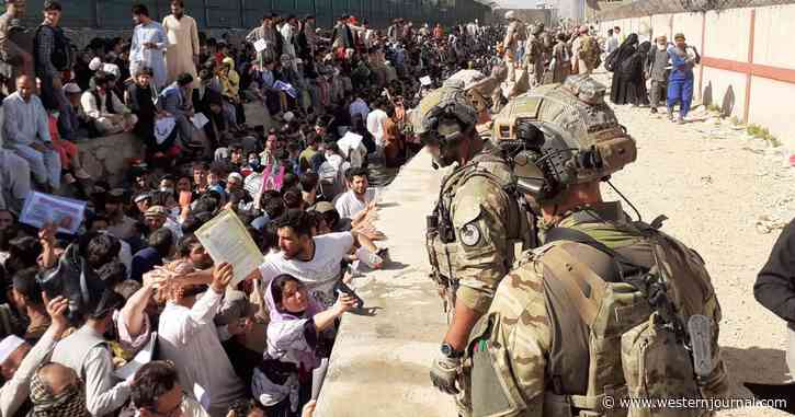 Unsettling Report: Leak Reveals Livid 82nd Airborne Colonel Tried to Save US Citizens Before Being Forced to Abandon Them