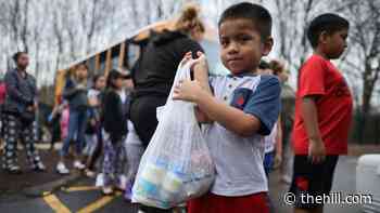Democrats press Biden to step up fight against domestic hunger
