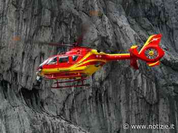 Albero cade e colpisce un uomo a Clusone: morto 70enne - Notizie.it