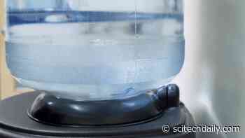 Water Coolers Can Release Potentially Harmful Compounds Into Drinking Water