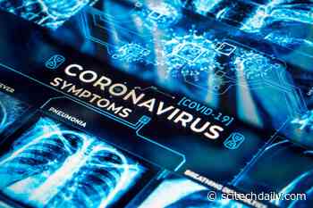 Lingering Symptoms: Researchers Identify Over 50 Long-Term Effects of COVID-19