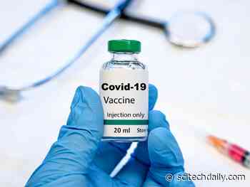 Innovative New Candidate Vaccine Shows Efficacy Against COVID-19