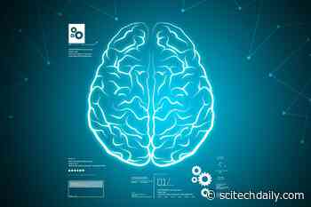 AI Accurately Predicts Brain Age From EEG Signals Recorded During Sleep Studies