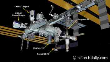 SpaceX Cargo Dragon Successfully Docks to International Space Station