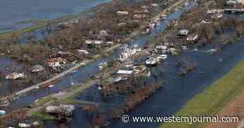 Horror in Louisiana: Killer Gator Makes Its Way to Couple's Flooded Home, Launches Ambush as Wife Can Only Watch in Shock