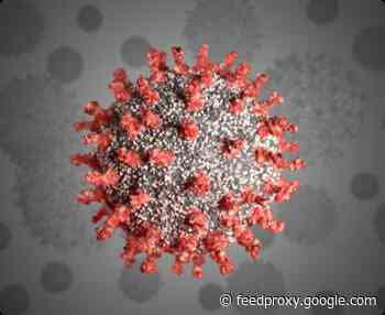 Apple asks employees to ‘voluntarily’ report COVID-19 vaccination status