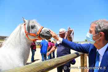 Sicilia, Caccia: Filageri promuove referendum per il NO. WWF e ISPRA contrari e Musumeci anticipa l’apertura - Il Moderatore