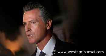 Young Not Stupid: Scathing Ads Go for Newsom's Throat as California Voters Wake Up