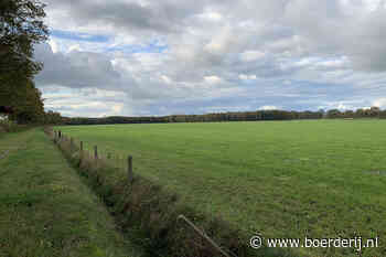 16 tot 35 mol minder stikstof door stoppersregeling - Boerderij