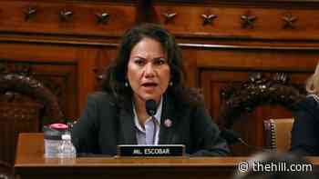 House committee moves to block private funds for National Guard deployments