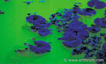 Adam Jasper on Olafur Eliasson at the Fondation Beyeler - Artforum