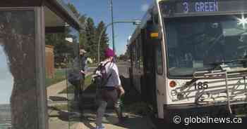 Lethbridge transit riders not happy with new cityLINK system