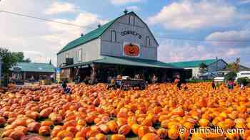 30 of the best things to do in & around Toronto this September - Curiocity