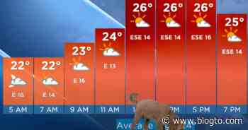 Toronto reporter's dog interrupts weather forecast looking for treats - blogTO