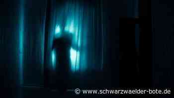 Polizei sucht Zeugen: Einbrecher nimmt Firma in Nagold ins Visier