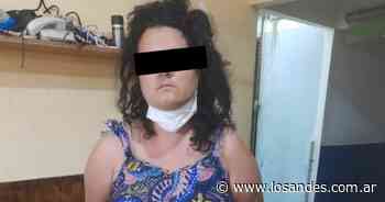Horror en Buenos Aires: una mujer mató a puñaladas a su hijo de 11 años e hirió a su hija de 9 - Los Andes (Mendoza)