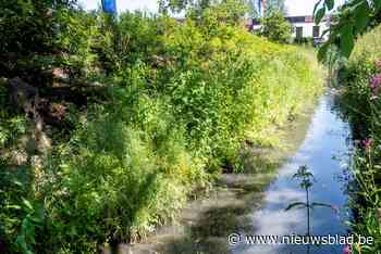 Lotbeek en Oude Gracht krijgen wandelpaden en ecologische oeverzones