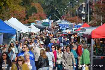 Oppositiepartij DNA! boos om afgelasting jaarmarkt: “Bij de buren in Anderlecht lukt het wel”