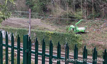 Network Rail to warn residents about tree-felling following upset at Stamford Hill nature reserve