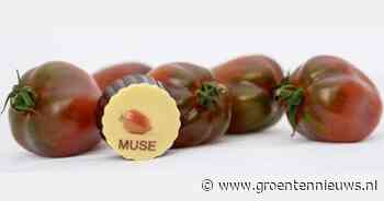 Tomatenpraline primeur op Tomatenfestival Kalmthout - GroentenNieuws