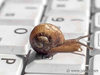 Sluggish apps on your M1 Mac? Check this first for a possible fix