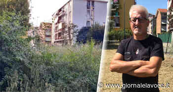 SETTIMO TORINESE. Erba tagliata a tempi di record dopo la protesta - giornalelavoce