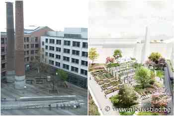 Ontwerpteam met PAKT wint wedstrijd voor vergroening van Den Bell - Het Nieuwsblad